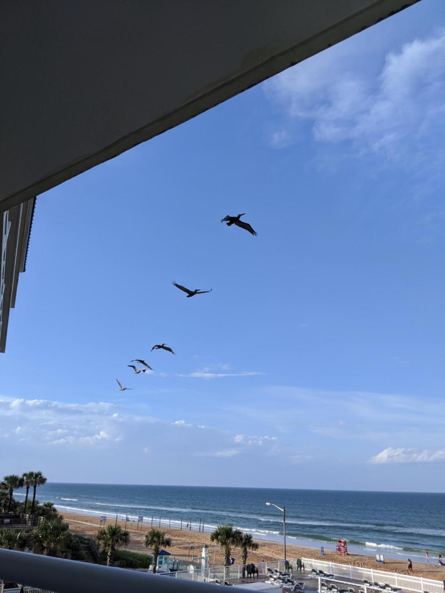 Royal Floridian Resort By Spinnaker Ormond Beach Exterior foto
